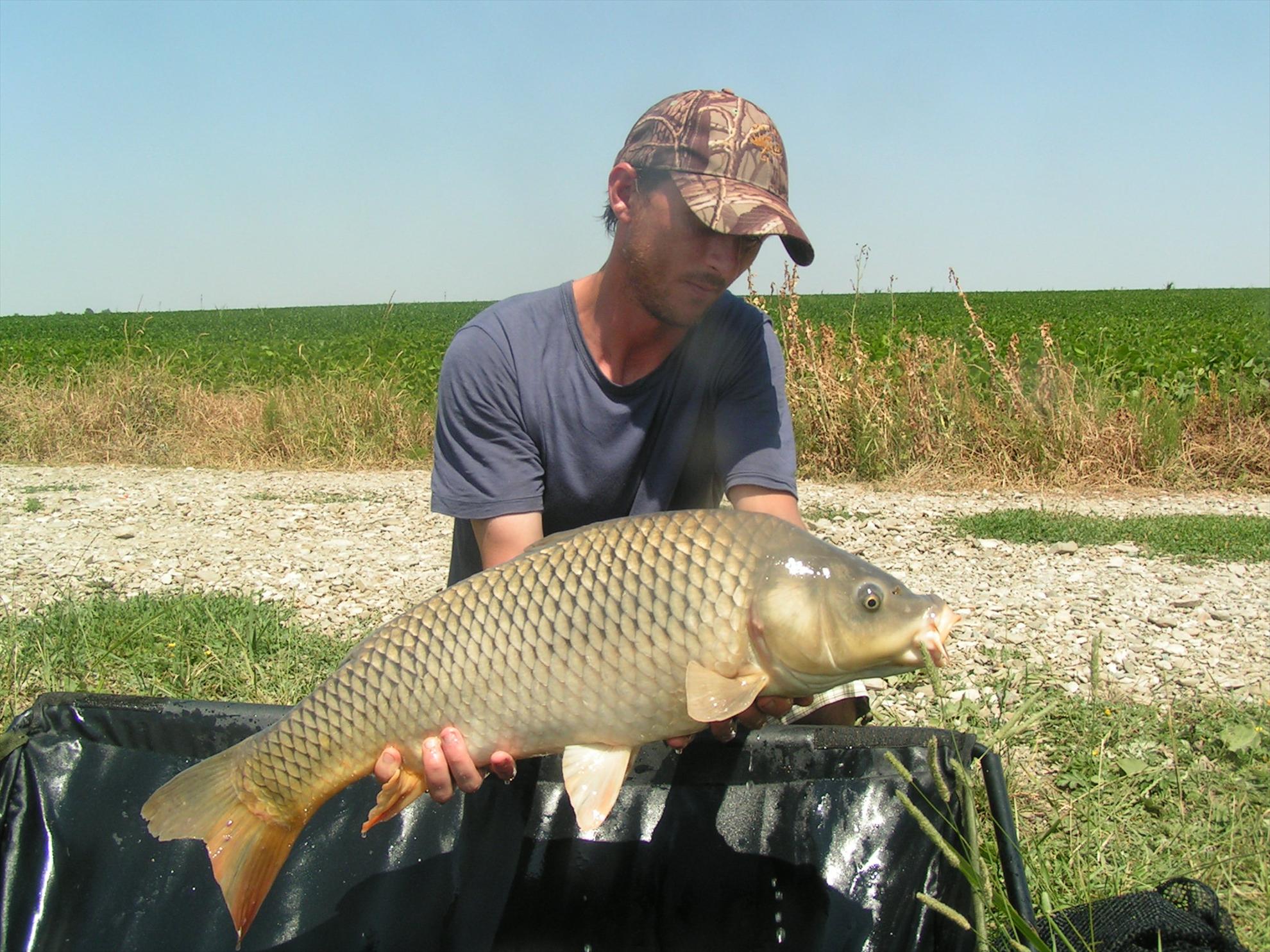 Lates 9-10.07.2012 - pict0947.JPG